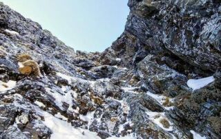 Pizzo Trona