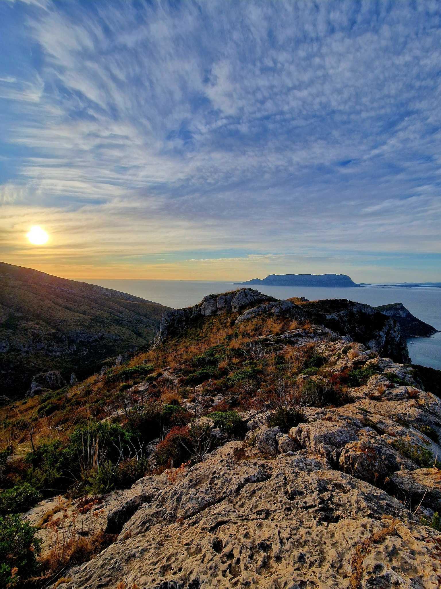 Il riposo dei Macachi